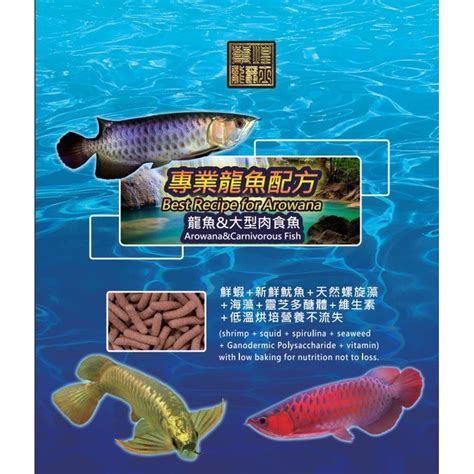 龍魚飼料推薦|龍魚/大型魚 